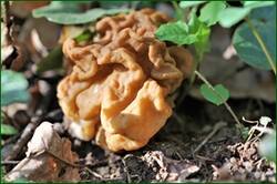0_14097e_4beda219_orig.jpg