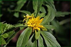 0_140987_5d198a10_orig.jpg
