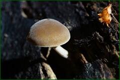 0_fff33_5fc43a87_orig.jpg