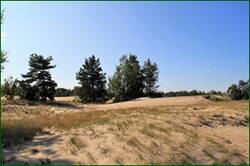 0_14b4da_a8025ef5_orig.jpg