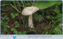 0_12af82_58f340b6_orig.png