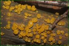 0_fdec3_4682de99_orig.jpg