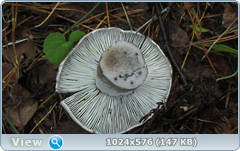 0_12ab7b_a156fa4d_orig.png