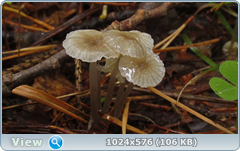 0_12afc2_b3199e6f_orig.png