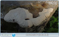 0_12c22b_a28fd8d9_orig.png