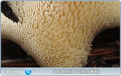 0_12abcd_46fa71b9_orig.png