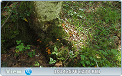 0_12b9ca_986d87c6_orig.png
