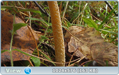 0_12d9c9_ccb28242_orig.png