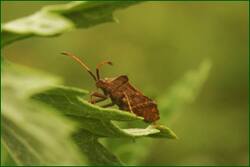 0_fdd44_b9889906_orig.jpg