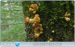 0_12bbcc_639ba7ac_orig.png