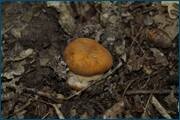 0_d252f_2504e5a3_orig.jpg