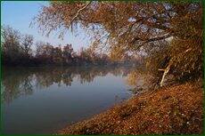 0_c5d45_32e32988_orig.jpg