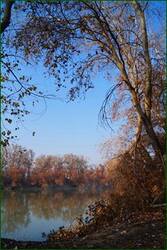 0_c5d61_5e9ba593_orig.jpg
