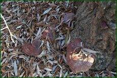 0_c5d7d_5b61d885_orig.jpg