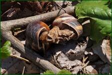 0_f58b3_f5b53989_orig.jpg