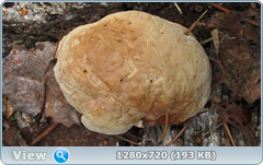 0_102004_9ecca750_orig.png
