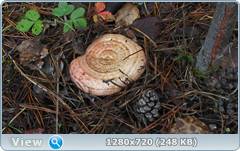 0_112abb_4efc9866_orig.png