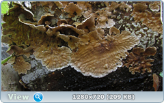 0_112adb_28291257_orig.png