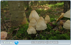 0_112b06_f9eac176_orig.png