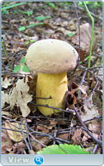 0_102de9_28676cac_orig.png