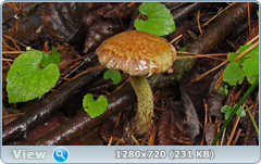 0_fb8aa_4448483f_orig.png