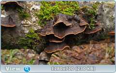 0_fd6a0_66b62cba_orig.png