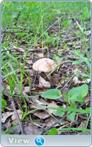 0_102baa_ef354f6c_orig.png