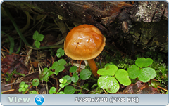 0_fb900_cdc2f4c5_orig.png