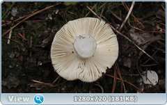 0_fbb3e_73f99d8b_orig.png