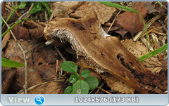 0_11b7e5_9cc864ff_orig.png