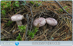 0_11cc0b_2ac2486e_orig.png