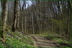 0_e23c3_1075e103_orig.png