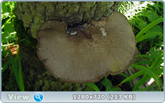 0_109801_b8901c26_orig.png