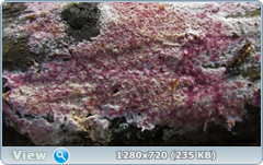 0_10ddfc_3ec8792c_orig.png