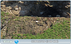 0_e7470_c1410ed9_orig.png