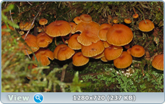 0_ea3fb_21c2b2dd_orig.png