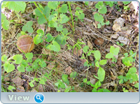 0_102ba4_fc82353b_orig.png