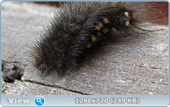 0_ff6a8_de7d37c4_orig.png