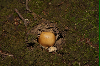 0_e5d24_56575e3c_orig.png