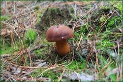 0_12e512_25940679_orig.jpg