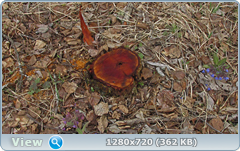 0_10532d_4f8d5_orig.png