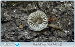 0_107ed2_fab68b07_orig.png
