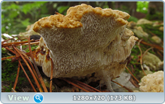0_10aa96_f978f032_orig.png
