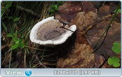 0_10c768_e97f419c_orig.png
