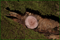 0_e5d2e_3731c4a5_orig.png