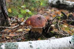 0_12e503_b8d2400a_orig.jpg