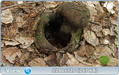 0_105fe2_4ec6580a_orig.png