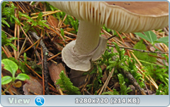 0_fbb96_25f17ba_orig.png