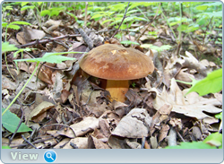 0_102d86_3a28b787_orig.png