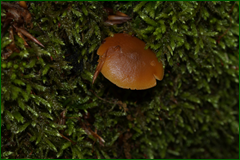 0_e3f2a_9627629b_orig.png